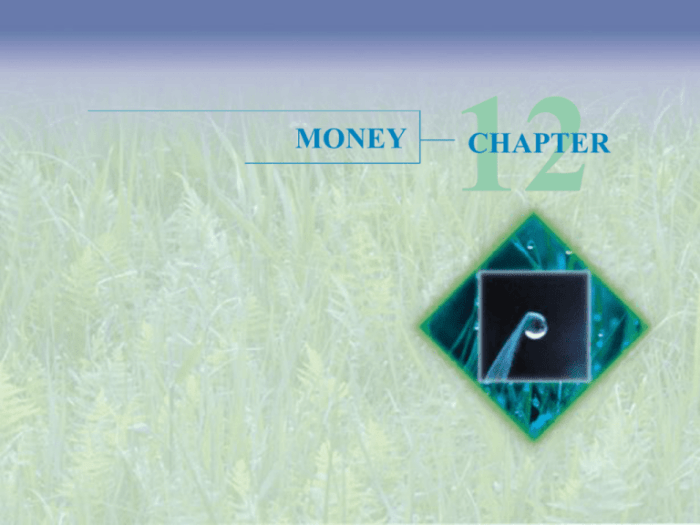 Chapter 8 money in review