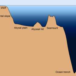 Section 14.2 ocean floor features