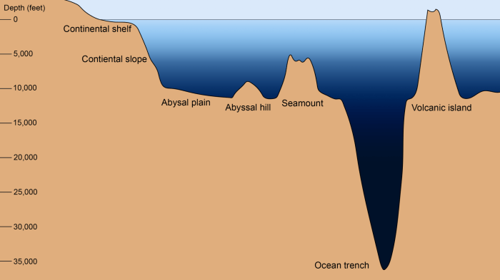 Section 14.2 ocean floor features