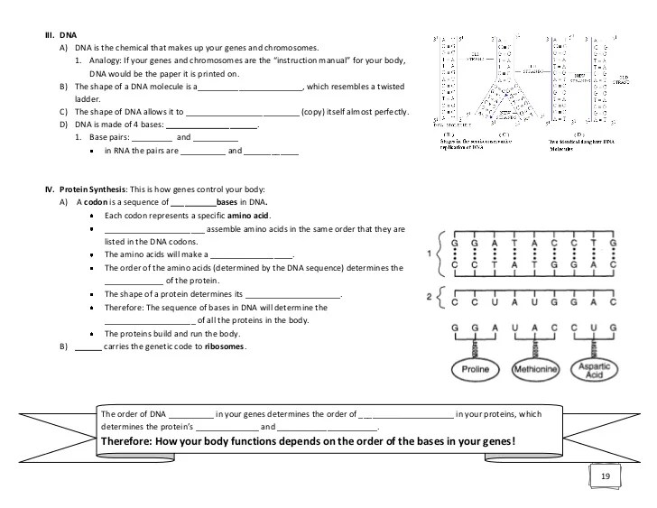 Keystone exam biology review packet