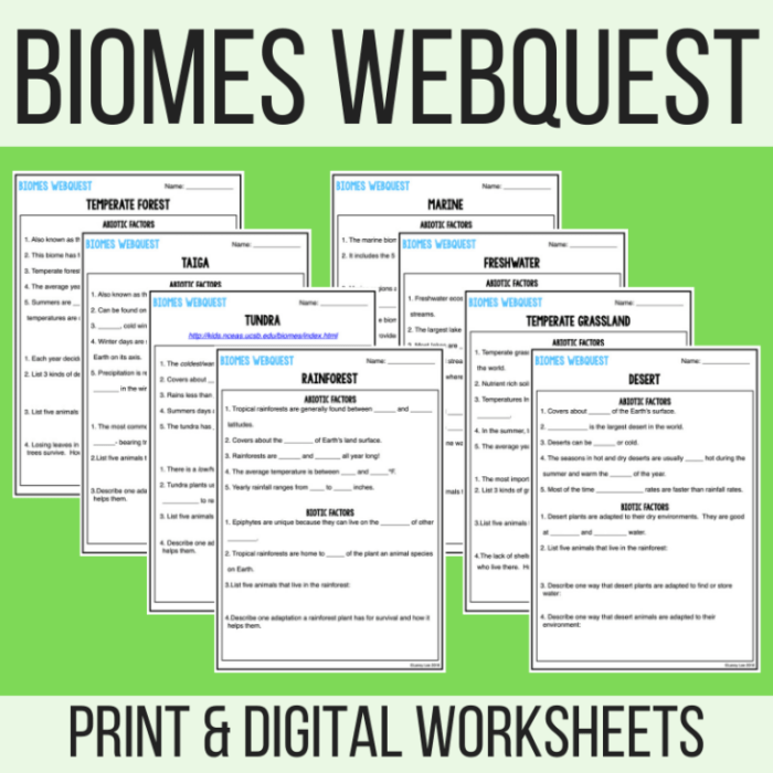 Biome webquest biomes terrestrial