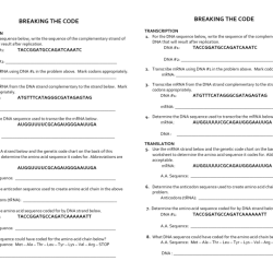 Cracking your genetic code worksheet