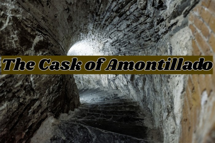 Summary of the cask of amontillado pdf