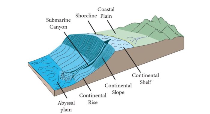 Section 14.2 ocean floor features