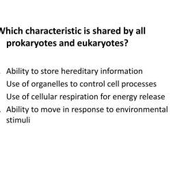 Keystone exam biology review packet