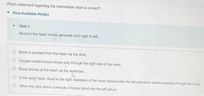 Which statement regarding the mammalian heart is correct