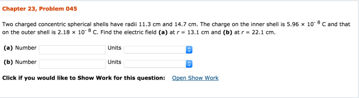 A long straight wire has fixed negative charge