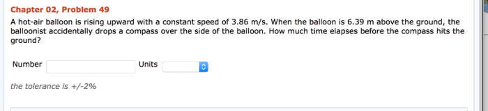 Rising vertically velocity balloonist magnitude homeworklib